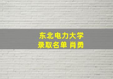 东北电力大学录取名单 肖勇